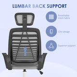 Ergonomic Mesh Office Chair with Adjustable Headrest and Armrests - Lumbar Support for Comfortable Work Seating - Ideal for Home and Office Use