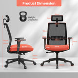 Comfort Design - Ergonomic Office Chair for Workspace, Study and Conference Room - Ideal for Enhanced Posture and Reduced Back Strain