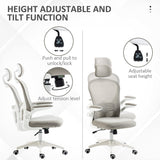 Ergonomic Mesh Office Chair with Lumbar & Headrest Support - Adjustable and Comfortable Seating - Ideal for Prolonged Desk Work, Grey