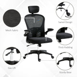 Vinsetto Multi-Adjustable Office Chair, with Lumbar Support, Headrest and Mesh Back - Black