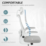 HOMCOM Executive Office Chair, Ergonomic Mesh High Back Desk Chair with Flip-up Armrest, Adjustable Lumbar Support, Rotatable Headrest, Swivel Computer Chair for Home Study, Grey