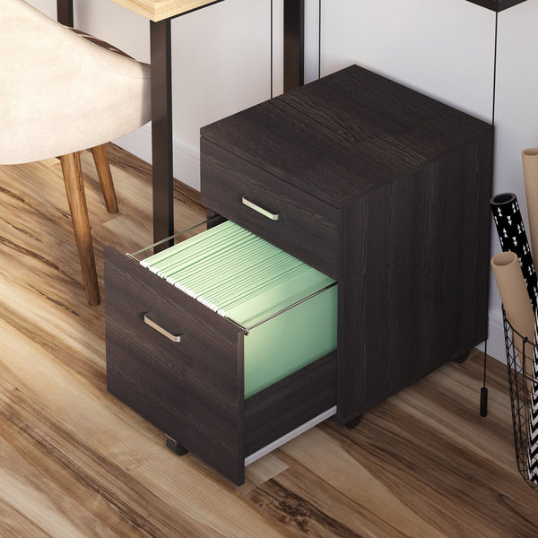 2-Drawer Mobile File Cabinet - Lockable Rolling Office Filing Solution with 5 Smooth-Gliding Wheels - Secure Legal & Letter Document Organizer for Home or Office Use